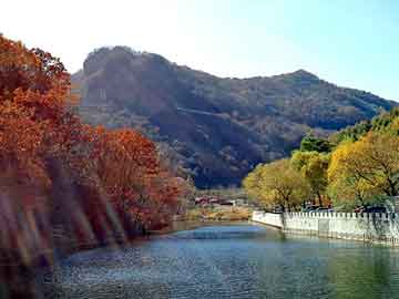 管家婆黑白马报图库，牧草哪些地方有